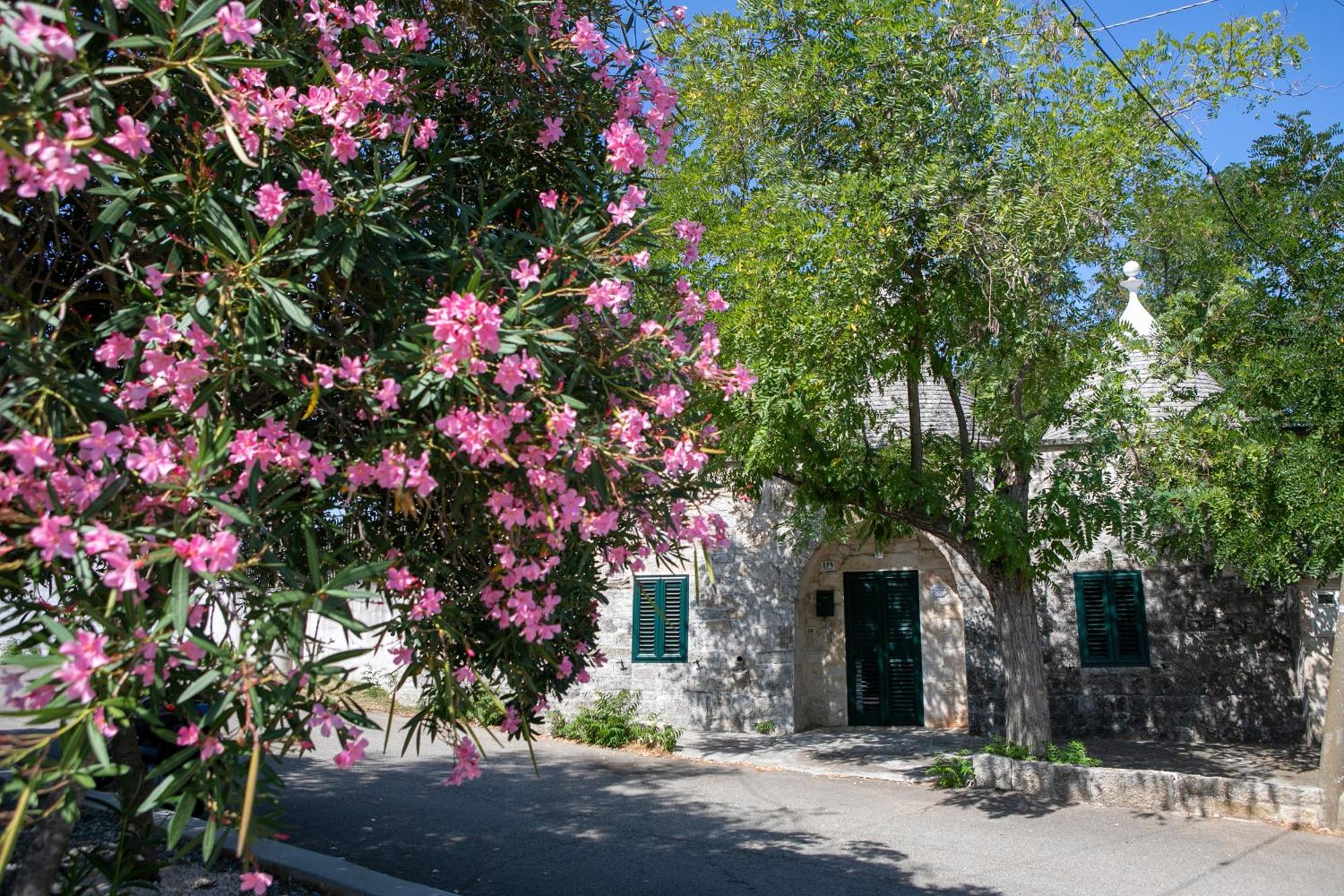 Angolo Di Puglia 로코로톤도 외부 사진