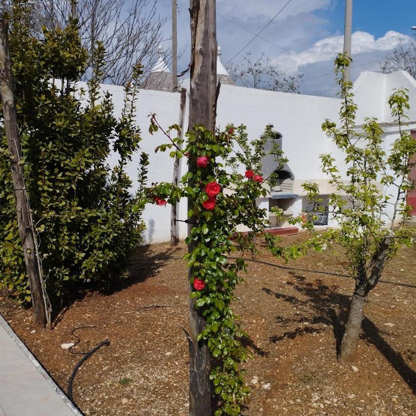 Angolo Di Puglia 로코로톤도 외부 사진
